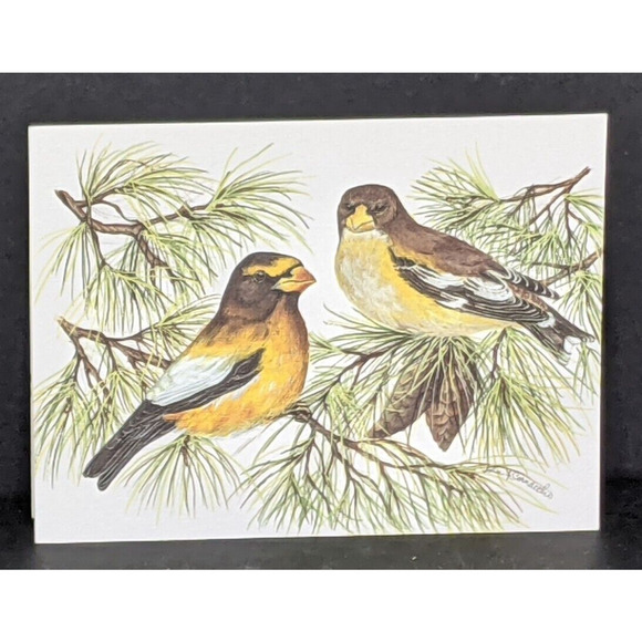 Wild Bird Notecards Blank LOT OF 13 Some Duplicates 4.25 x 5.5" White Envelopes - Picture 9 of 11